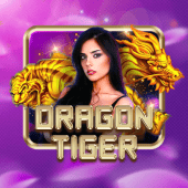 Dragon Tiger bingo lucky live casino tip